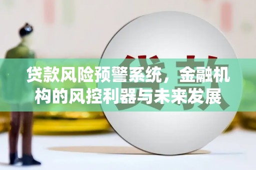 容城贷款风险预警系统，金融机构的风控利器与未来发展