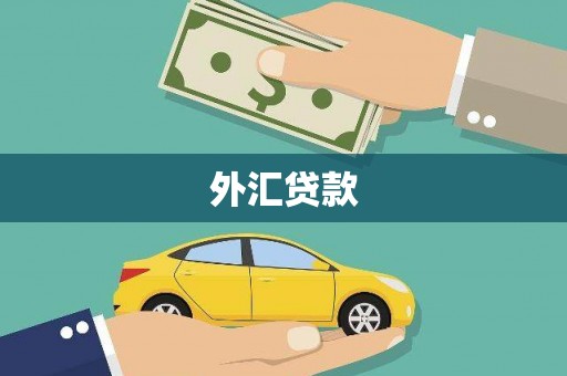 容城外汇贷款