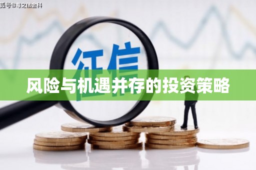 容城风险与机遇并存的投资策略