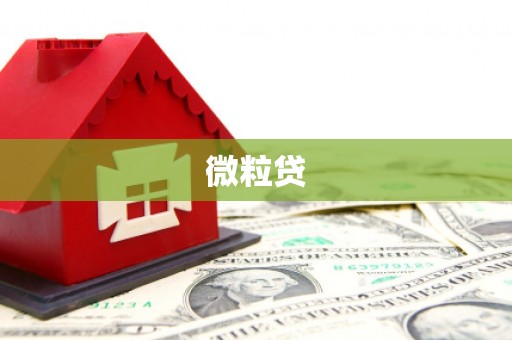 容城微粒贷