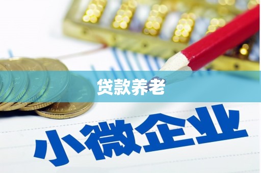 容城贷款养老