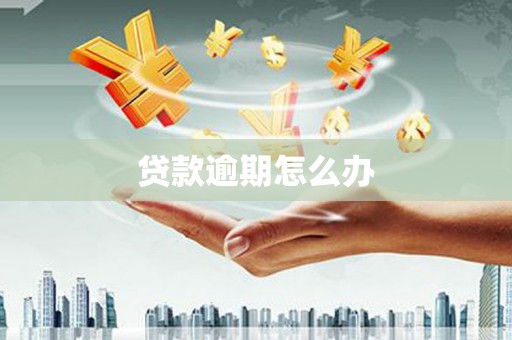 容城贷款逾期怎么办