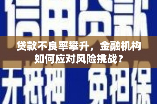 容城贷款不良率攀升，金融机构如何应对风险挑战？