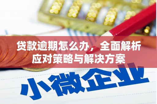 容城贷款逾期怎么办，全面解析应对策略与解决方案